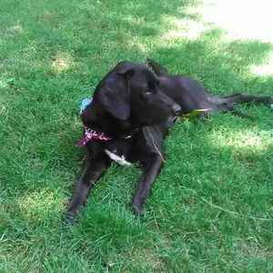 Meet your Posher, Marlene